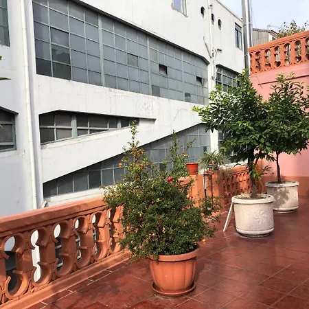 Haobo Center Πανσιόν 3*